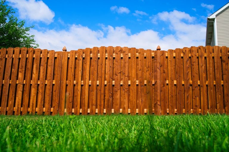 Outdoor Fence
